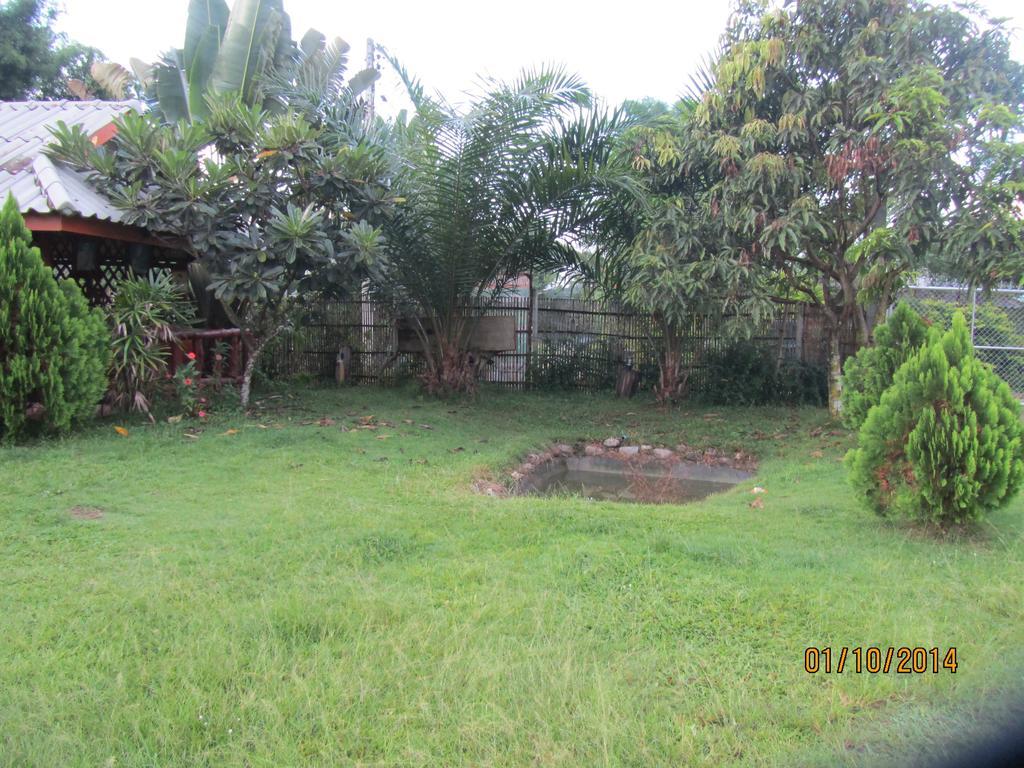 Orange Grove Resort Pai Exteriör bild